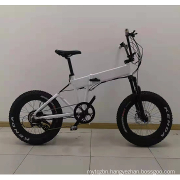 2019 Hot Sale Fashionable European 20 Inch 48V 500W Fat Tire Ebike Folding Electric Bike